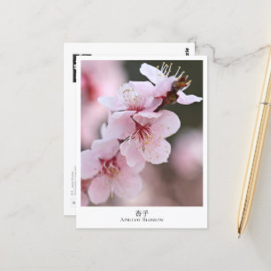 Apricot Blossom Postcard