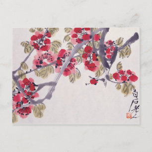 Apricot Blossoms Postcard