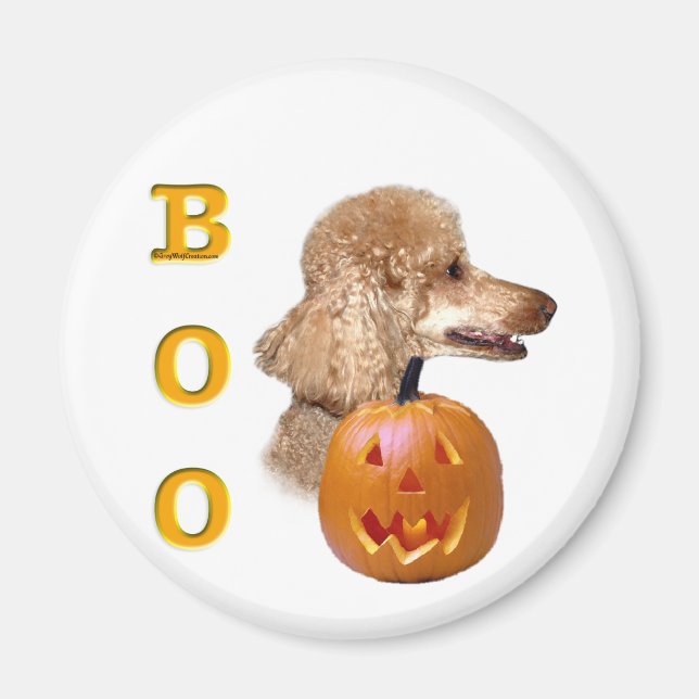 Apricot Coated Poodle Boo Magnet (Front)