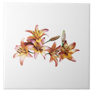 Apricot-Coloured Lilies Tile