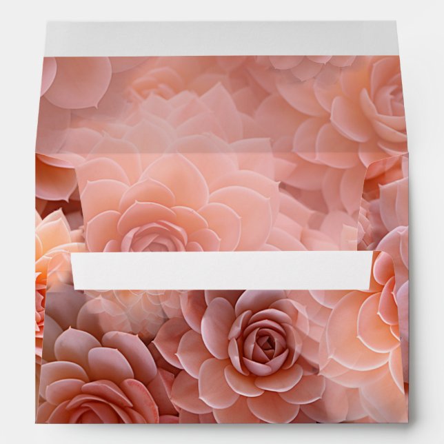 Apricot Crush Succulent Colours for 2024 Envelope (Back (Bottom))