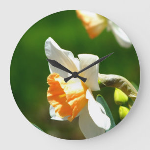 Apricot Daffodil Wall Clock