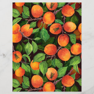 Apricot garden 1