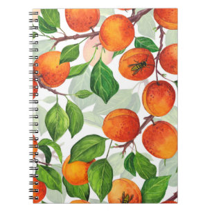 Apricot garden 3 notebook