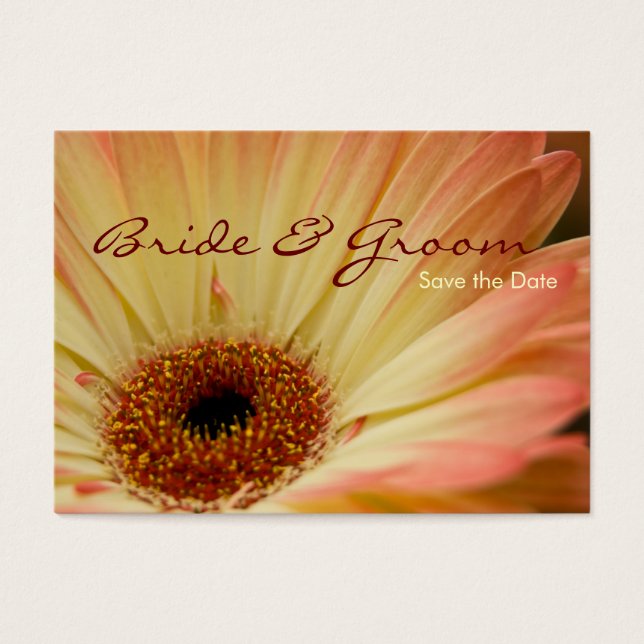 Apricot Gerbera • Save the Date Mini Card (Front)