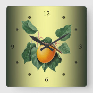 Apricot ~ Giorgio Gallesio ~ Botanical Fruit ~ Square Wall Clock