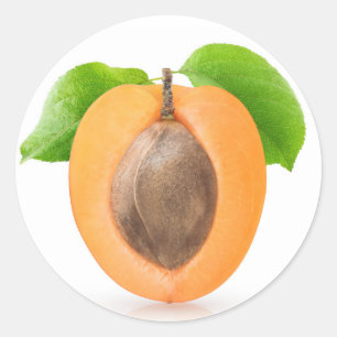 Apricot half classic round sticker
