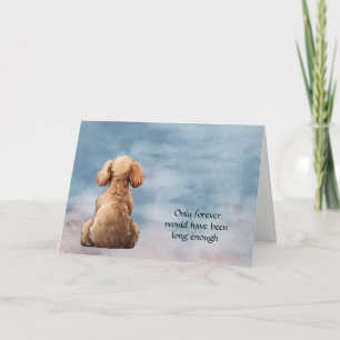 Apricot Jouet Poodle Chien Carte de Sympathie