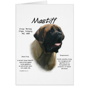 Apricot Mastiff History
