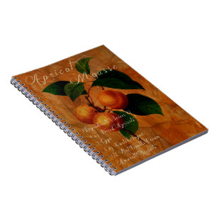 Apricot Mousse Notebook