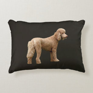 Apricot Poodle Accent Pillow