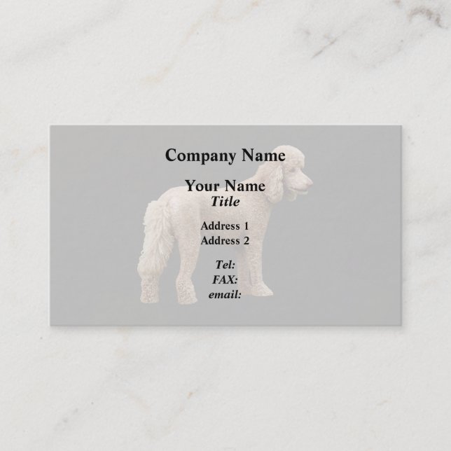 Apricot Poodle Business Card (Front)
