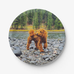 Apricot Poodle - Customizable Gift Paper Plate