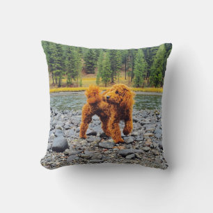 Apricot Poodle - Customizable Gift Throw Pillow
