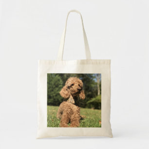 Apricot Poodle Customizable Tote Bag
