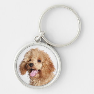 Apricot Poodle Mom Puppy Dog Dad Fur Mama Puppies Keychain