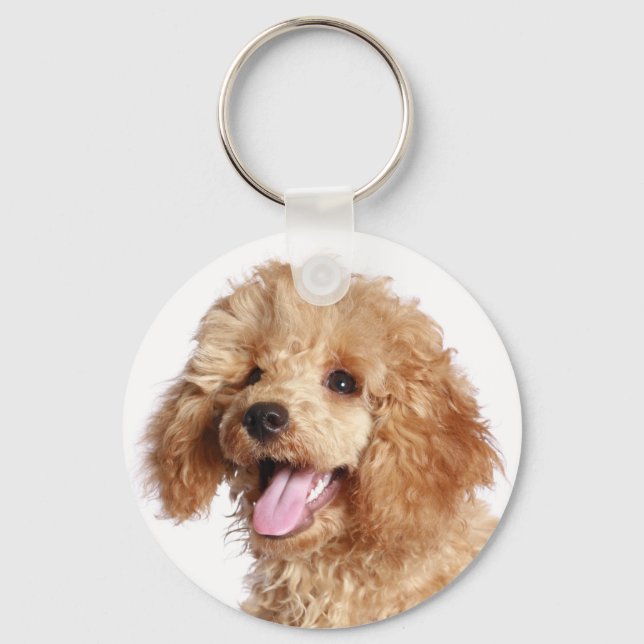 Apricot Poodle Mom Puppy Dog Dad Fur Mama Puppies Keychain (Front)