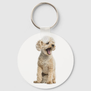 Apricot Poodle Puppy Dog Keychain