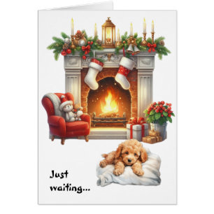 Apricot Poodle Puppy Dog Waiting for Christmas