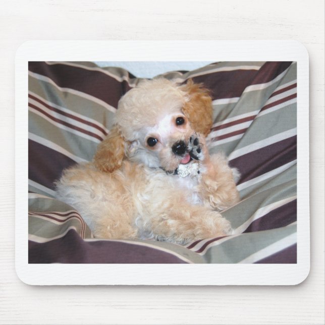 Apricot Poodle Puppy talking  waving Mouse Pad (Front)