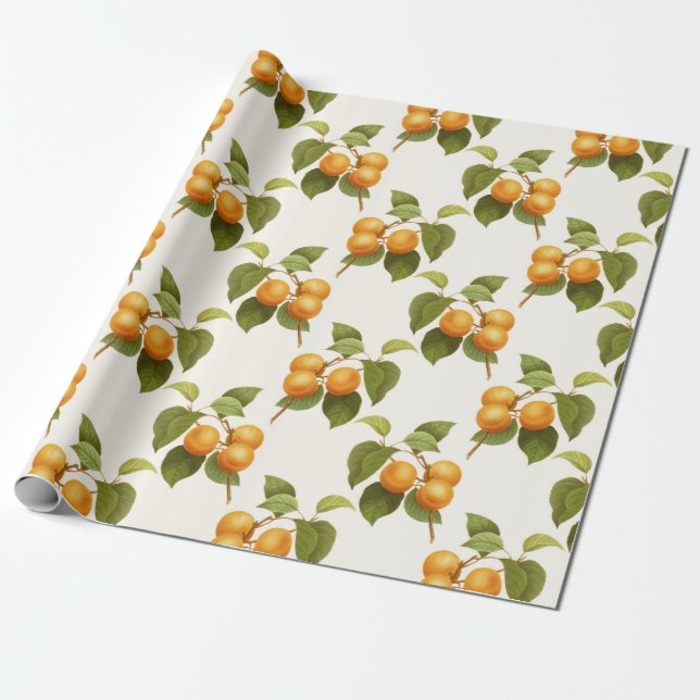 Apricot Print Wrapping Paper (Unrolled)