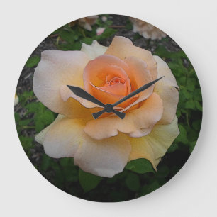 Apricot Rose Large Clock