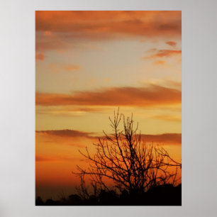 apricot skyscapes Poster