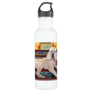 Apricot Standard Poodle - Bocelli 710 Ml Water Bottle