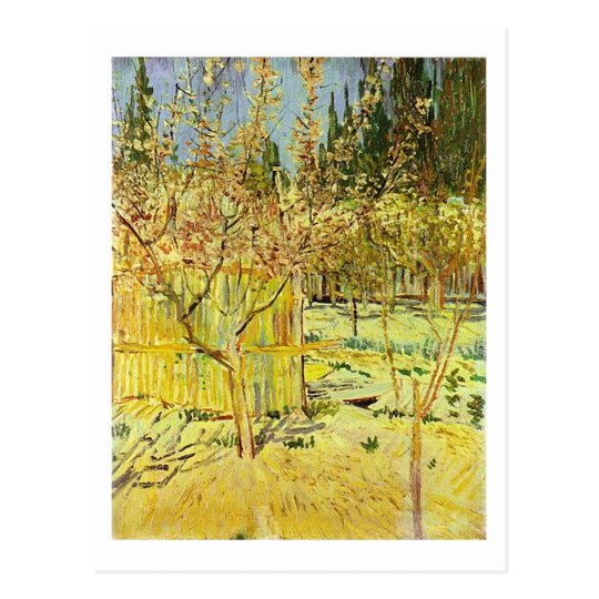 Apricot Trees in Blossom, Van Gogh Fine Art Postcard