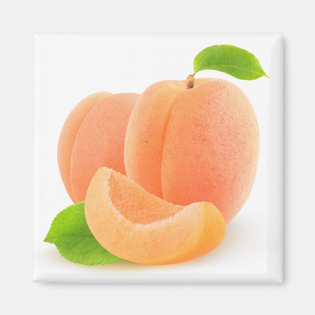 Apricots Magnet (Front)