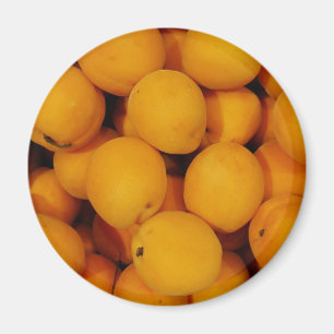Apricots Magnet