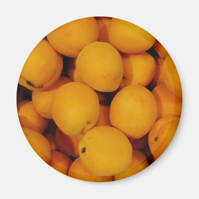 Apricots Magnet (Front)