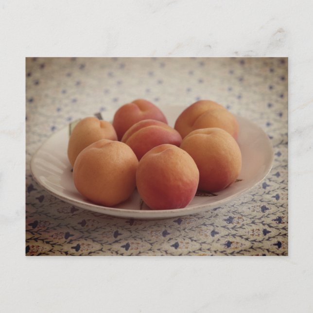 Apricots on a plate postcard (Front)