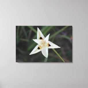 April 30 Garden Flower Canvas Print