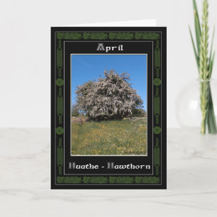 April Birthday Celtic Oracle Divination Card