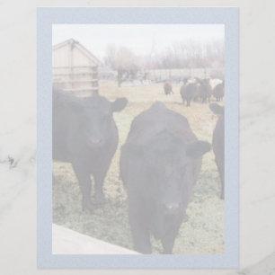 April Cattle