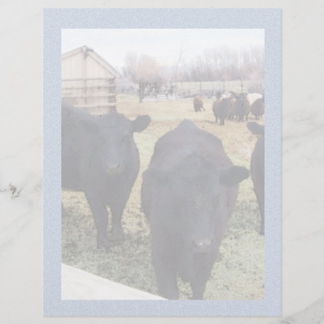 April Cattle (Front)