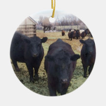 April Cattle