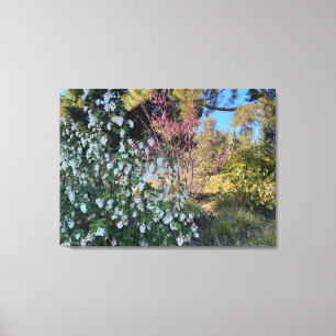 April Currants Canvas Print