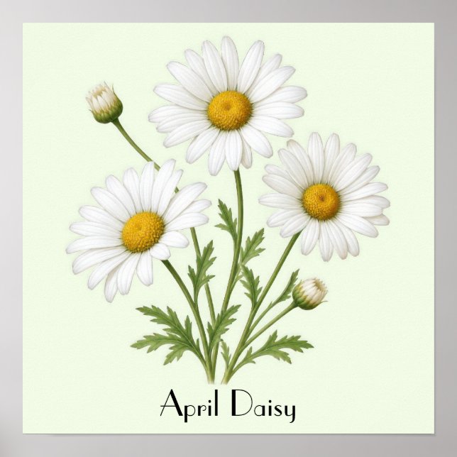 April Daisy Flowers Poster (Front)