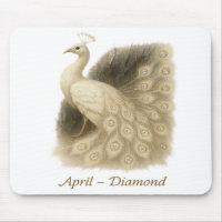 April – Diamond Peacock