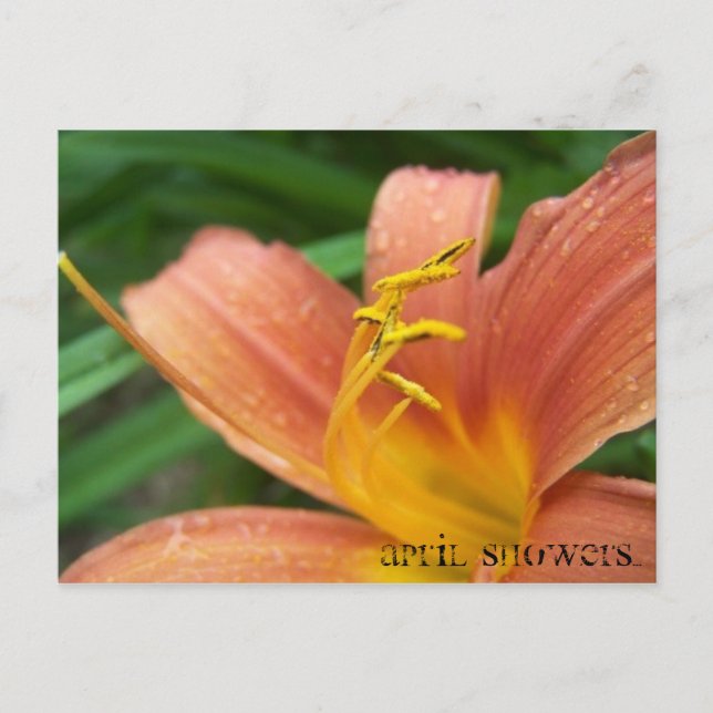April Showers Postcard (Front)