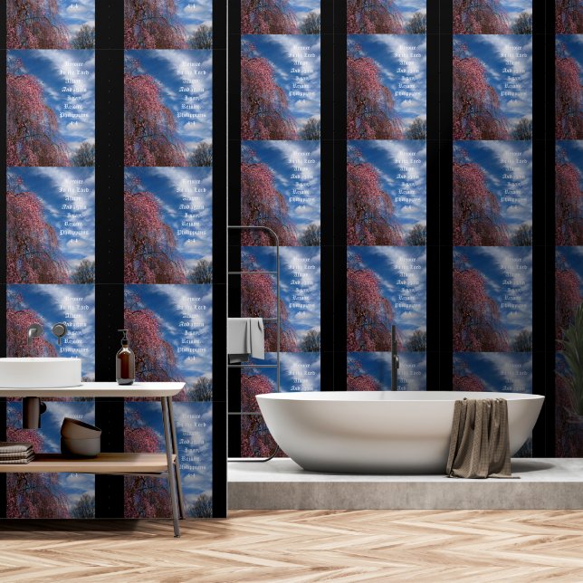 April Sky with Philippians 4:4 Wallpaper (Bathroom)