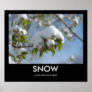 April Snow Demotivational Poster