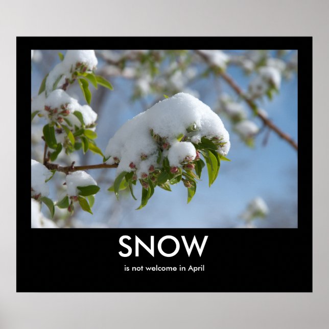 April Snow Demotivational Poster (Front)