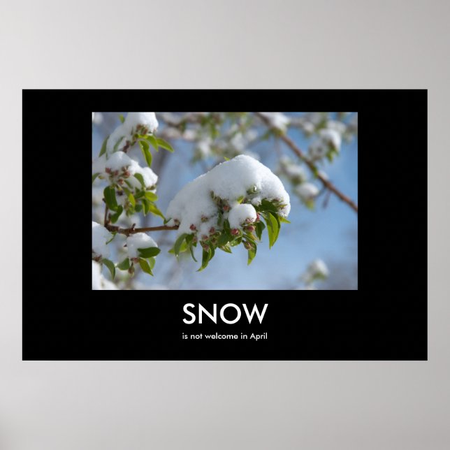 April Snow Demotivational Poster (Front)