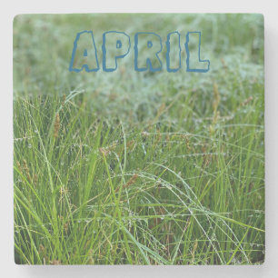April Stone Coaster