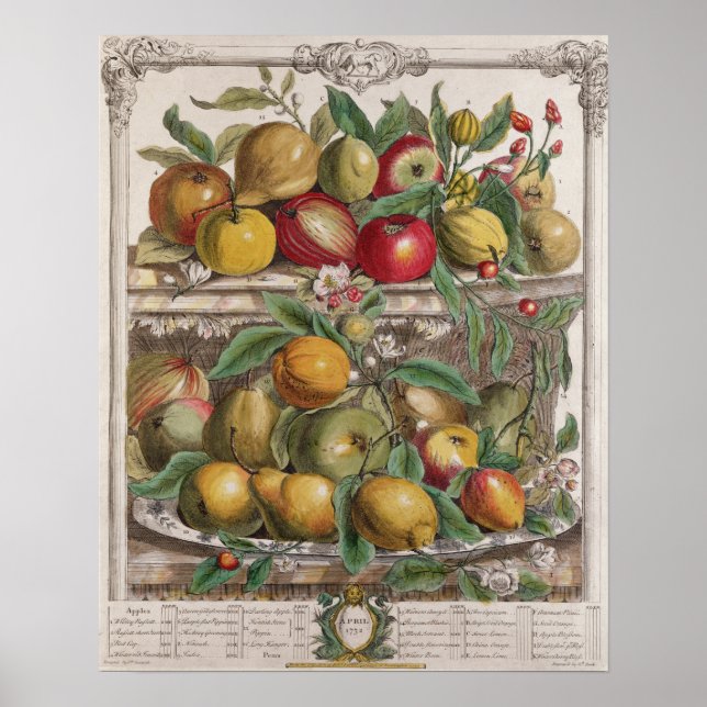 April, 'Twelve Months of Fruits' Poster (Front)