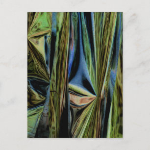 "April Woods III" Digitally Altered Abstract Photo Postcard
