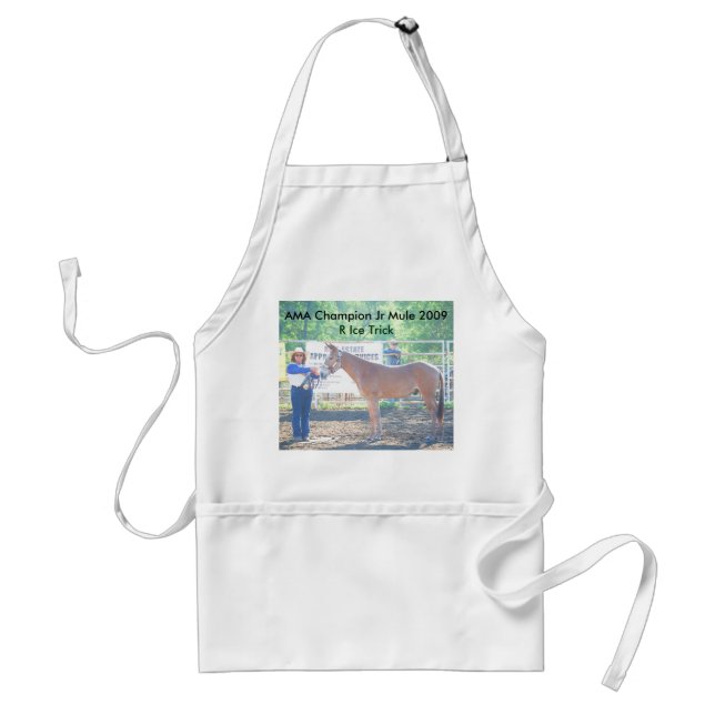 Apron (Front)